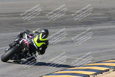 media/Feb-04-2024-SoCal Trackdays (Sun) [[91d6515b1d]]/4-Bowl Backside (11am)/